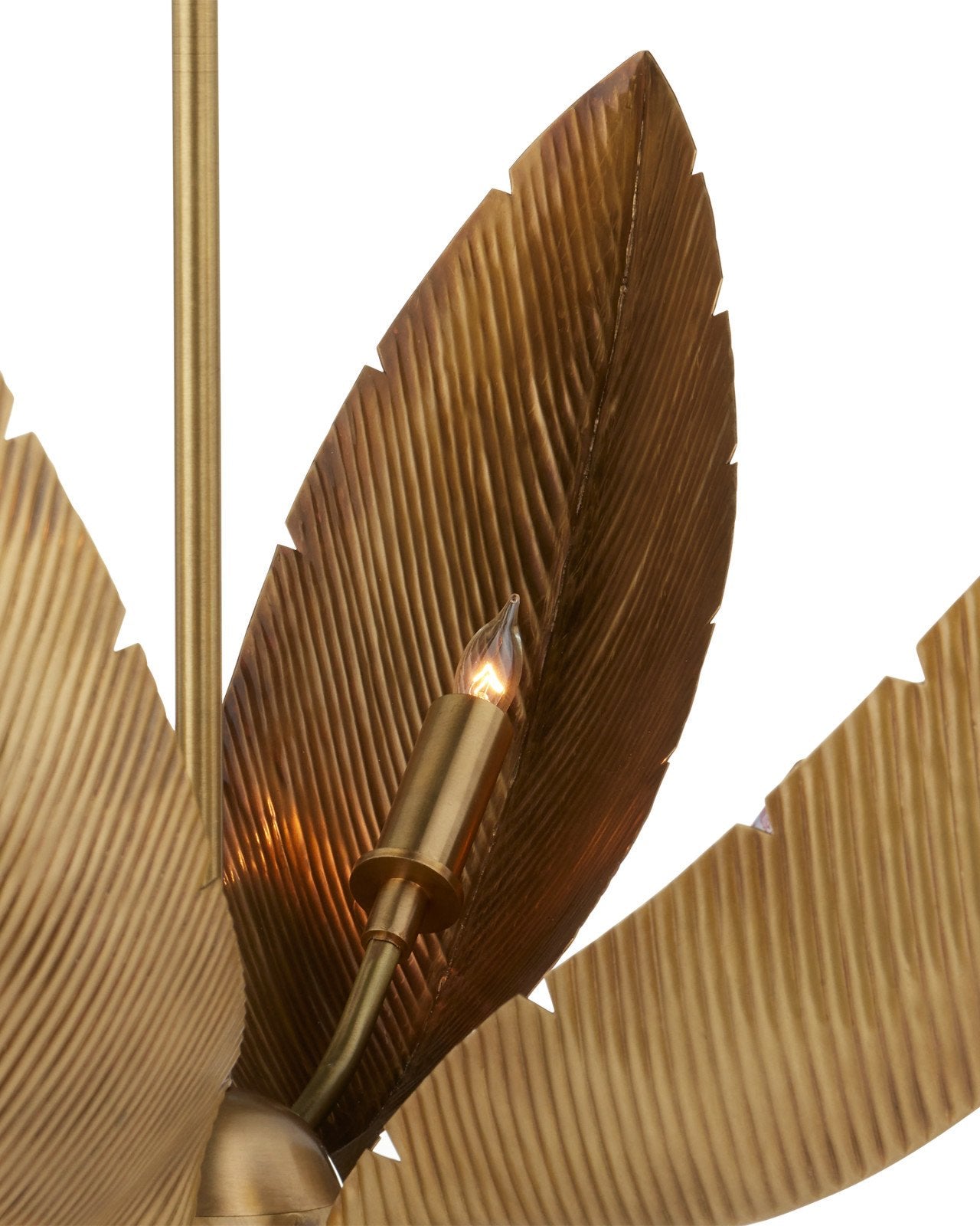 Bird of Paradise Brass Chandelier